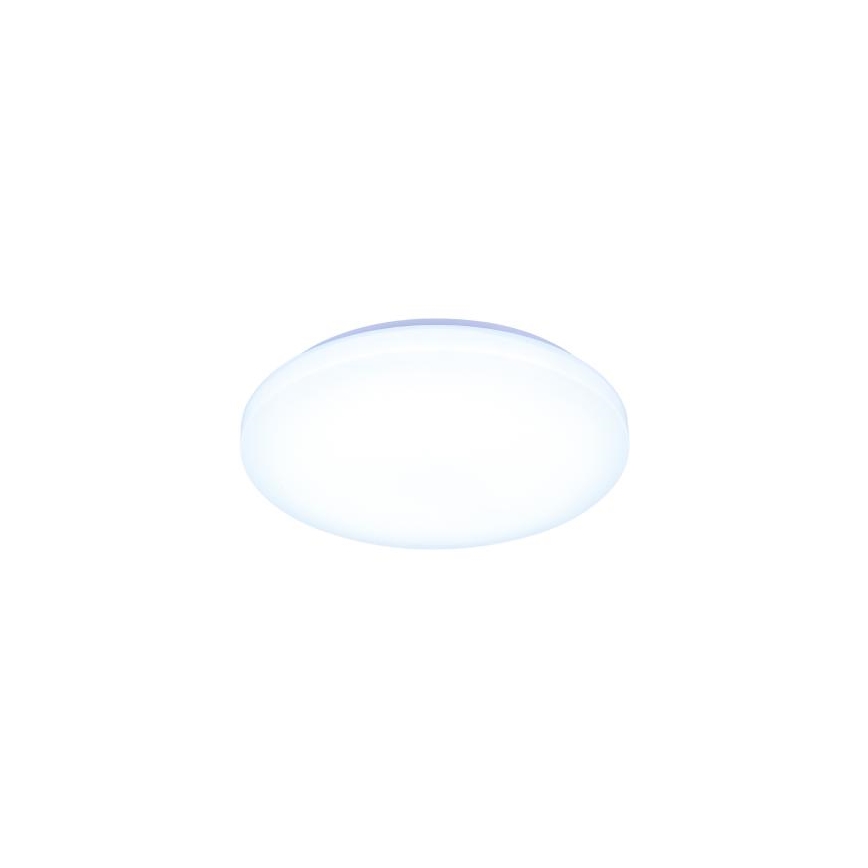 LED Dimmable ceiling light with voice control OPAL LED/48W/230V 2700-6500K white + remote control