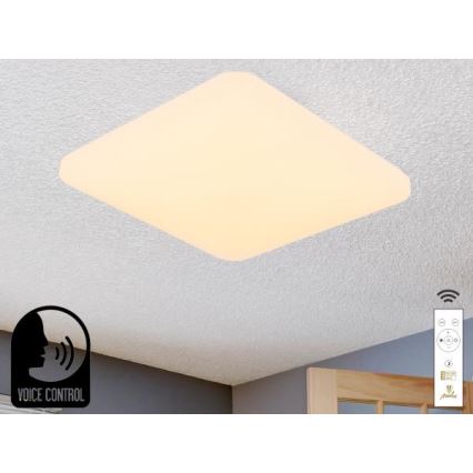 LED Dimmable ceiling light with voice control OPAL LED/48W/230V 2700-6500K white + remote control