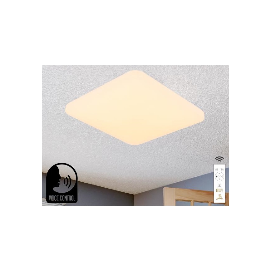 LED Dimmable ceiling light with voice control OPAL LED/48W/230V 2700-6500K white + remote control