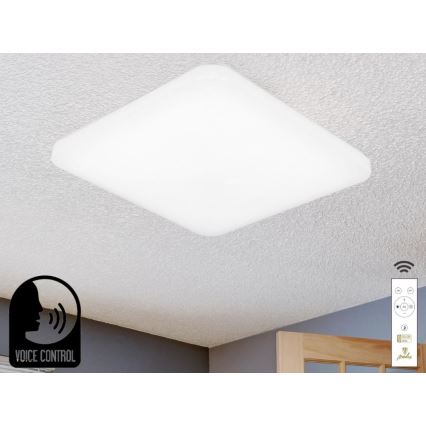 LED Dimmable ceiling light with voice control OPAL LED/48W/230V 2700-6500K white + remote control