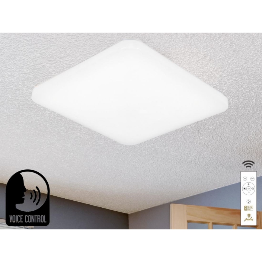 LED Dimmable ceiling light with voice control OPAL LED/48W/230V 2700-6500K white + remote control