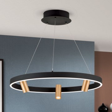 LED Dimmable chandelier on a string BERLIN LED/50W/230V black/gold