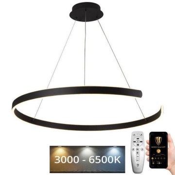 LED Dimmable chandelier on a string LED/100W/230V 3000-6500K d. 80 cm + remote control
