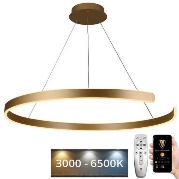 LED Dimmable chandelier on a string LED/100W/230V 3000-6500K d. 80 cm + remote control