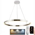 LED Dimmable chandelier on a string LED/100W/230V 3000-6500K d. 80 cm + remote control