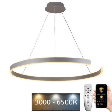 LED Dimmable chandelier on a string LED/100W/230V 3000-6500K d. 80 cm + remote control