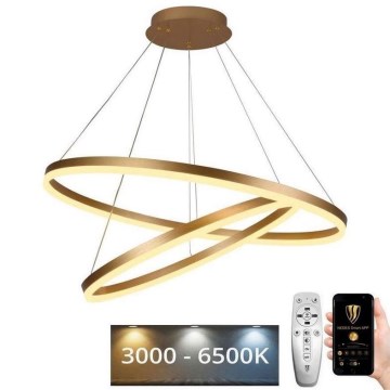 LED Dimmable chandelier on a string LED/100W/230V 3000-6500K + remote control