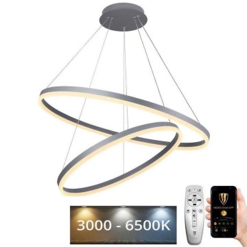 LED Dimmable chandelier on a string LED/100W/230V 3000-6500K + remote control