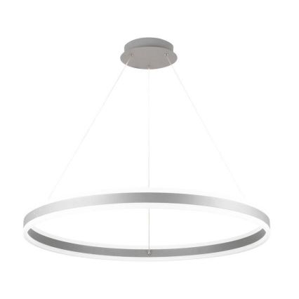 LED Dimmable chandelier on a string LED/110W/230V 3000-6500K d. 80 cm + remote control