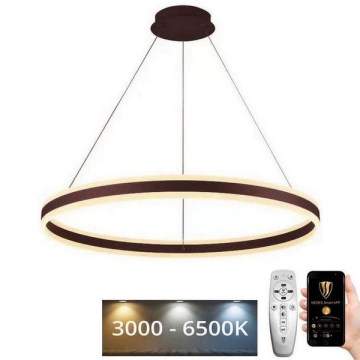 LED Dimmable chandelier on a string LED/110W/230V 3000-6500K + remote control