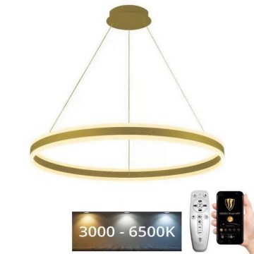LED Dimmable chandelier on a string LED/110W/230V 3000-6500K + remote control