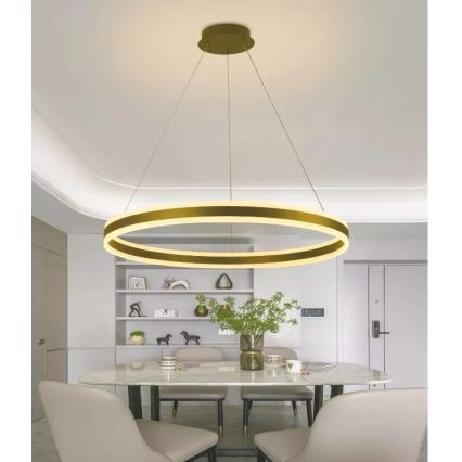 LED Dimmable chandelier on a string LED/110W/230V 3000-6500K d. 80 cm + remote control