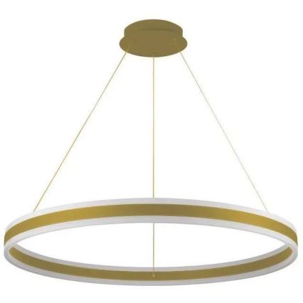 LED Dimmable chandelier on a string LED/110W/230V 3000-6500K d. 80 cm + remote control