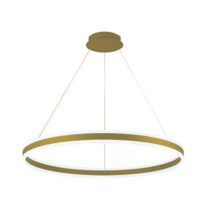 LED Dimmable chandelier on a string LED/110W/230V 3000-6500K d. 80 cm + remote control