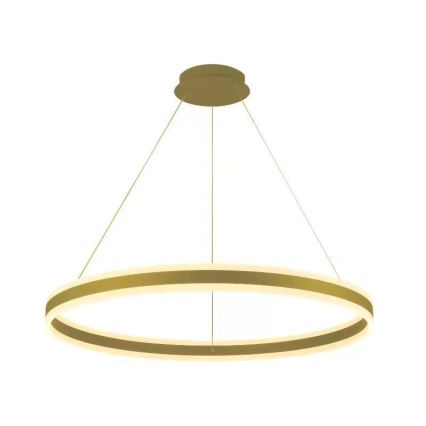 LED Dimmable chandelier on a string LED/110W/230V 3000-6500K d. 80 cm + remote control