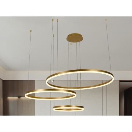 LED Dimmable chandelier on a string LED/125W/230V 3000-6500K d. 80 cm + remote control
