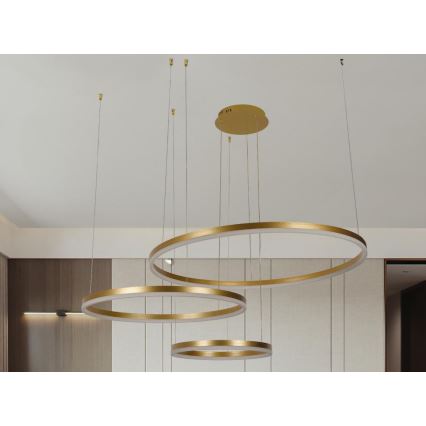 LED Dimmable chandelier on a string LED/125W/230V 3000-6500K d. 80 cm + remote control