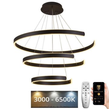 LED Dimmable chandelier on a string LED/220W/230V 3000-6500K d. 80 cm + remote control