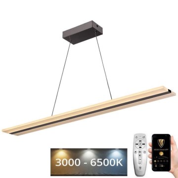 LED Dimmable chandelier on a string LED/40W/230V 3000-6500K chrome + remote control