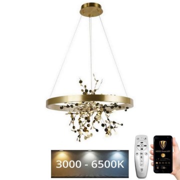 LED Dimmable chandelier on a string LED/40W/230V 3000-6500K gold + remote control