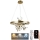 LED Dimmable chandelier on a string LED/40W/230V 3000-6500K gold + remote control