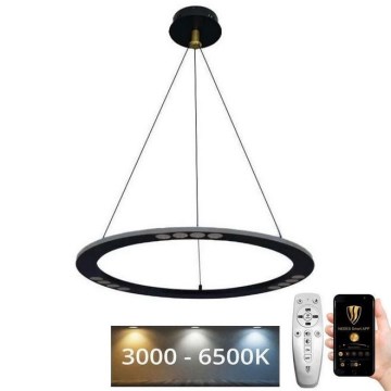 LED Dimmable chandelier on a string LED/40W/230V 3000-6500K + remote control