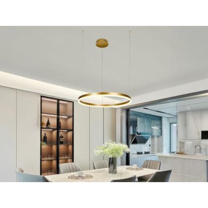 LED Dimmable chandelier on a string LED/42W/230V 3000-6500K d. 60 cm + remote control