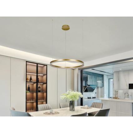 LED Dimmable chandelier on a string LED/42W/230V 3000-6500K d. 60 cm + remote control