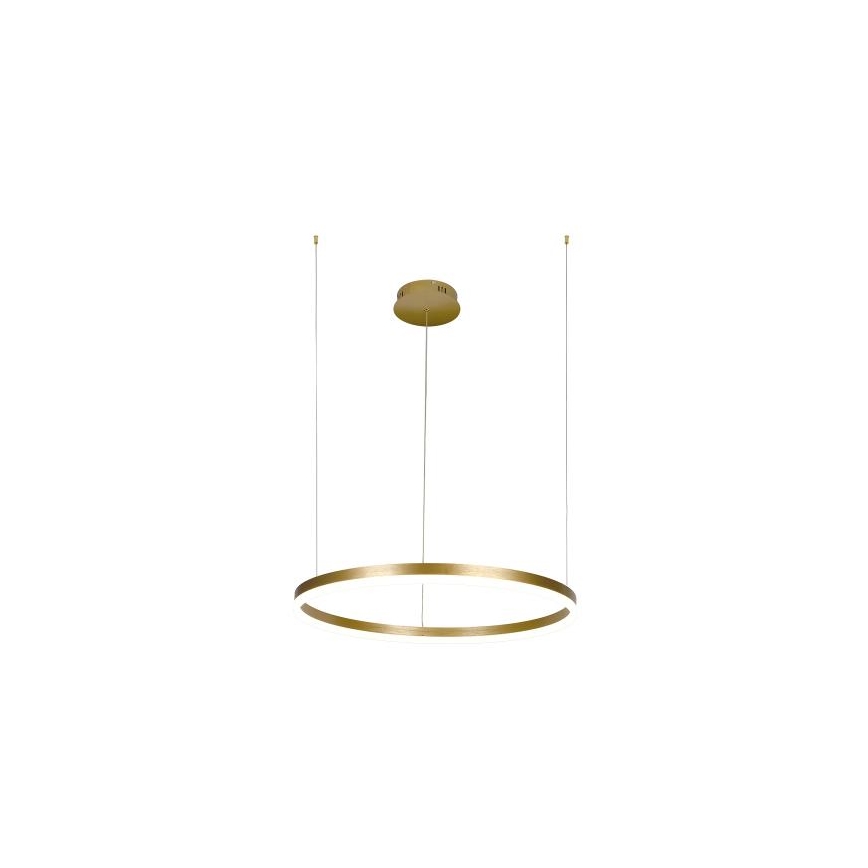 LED Dimmable chandelier on a string LED/42W/230V 3000-6500K d. 60 cm + remote control