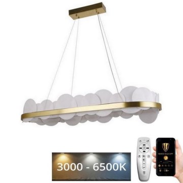 LED Dimmable chandelier on a string LED/50W/230V 3000-6500K gold + remote control