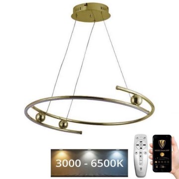 LED Dimmable chandelier on a string LED/50W/230V 3000-6500K + remote control