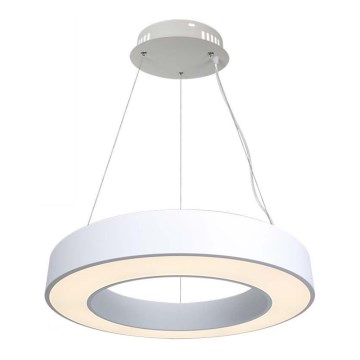 LED Dimmable chandelier on a string LED/50W/230V 4000K d. 60 cm white