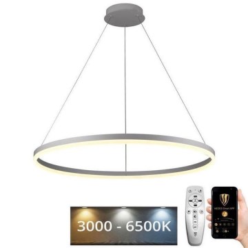 LED Dimmable chandelier on a string LED/55W/230V 3000-6500K d. 80 cm + remote control