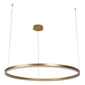 LED Dimmable chandelier on a string LED/55W/230V 3000-6500K d. 80 cm + remote control