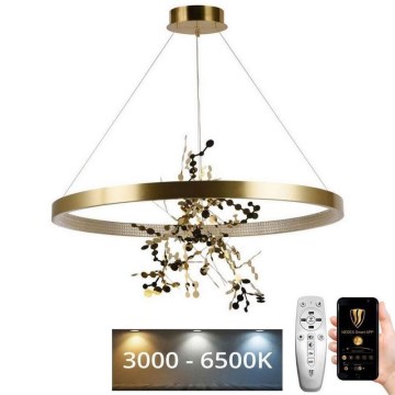 LED Dimmable chandelier on a string LED/55W/230V 3000-6500K gold + remote control