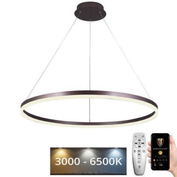 LED Dimmable chandelier on a string LED/55W/230V 3000-6500K + remote control