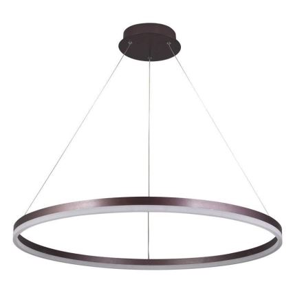 LED Dimmable chandelier on a string LED/55W/230V 3000-6500K + remote control