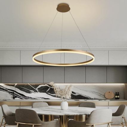 LED Dimmable chandelier on a string LED/55W/230V 3000-6500K + remote control