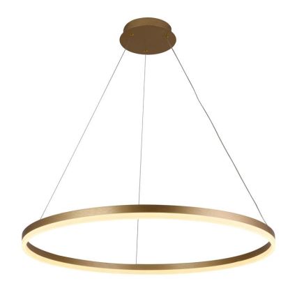LED Dimmable chandelier on a string LED/55W/230V 3000-6500K + remote control