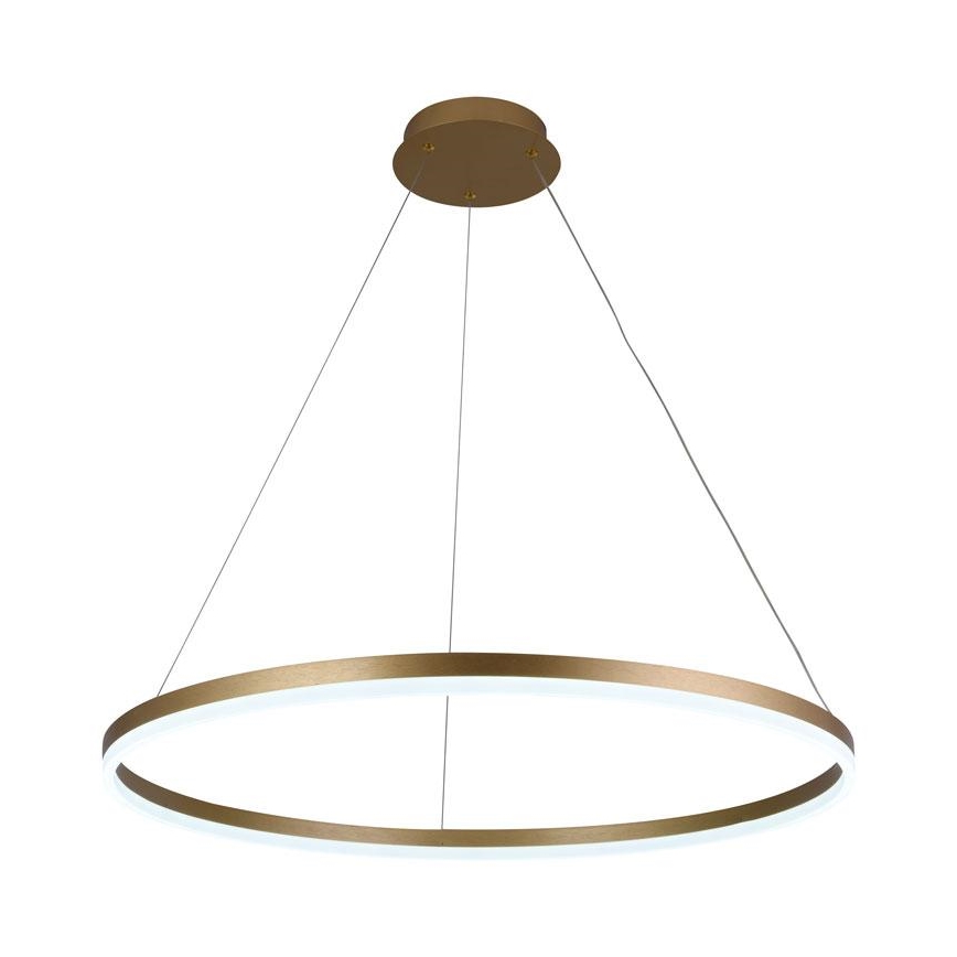 LED Dimmable chandelier on a string LED/55W/230V 3000-6500K + remote control