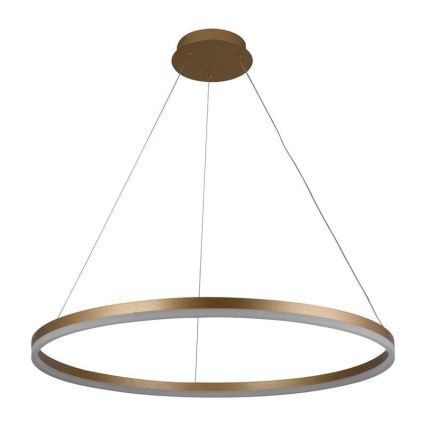 LED Dimmable chandelier on a string LED/55W/230V 3000-6500K + remote control