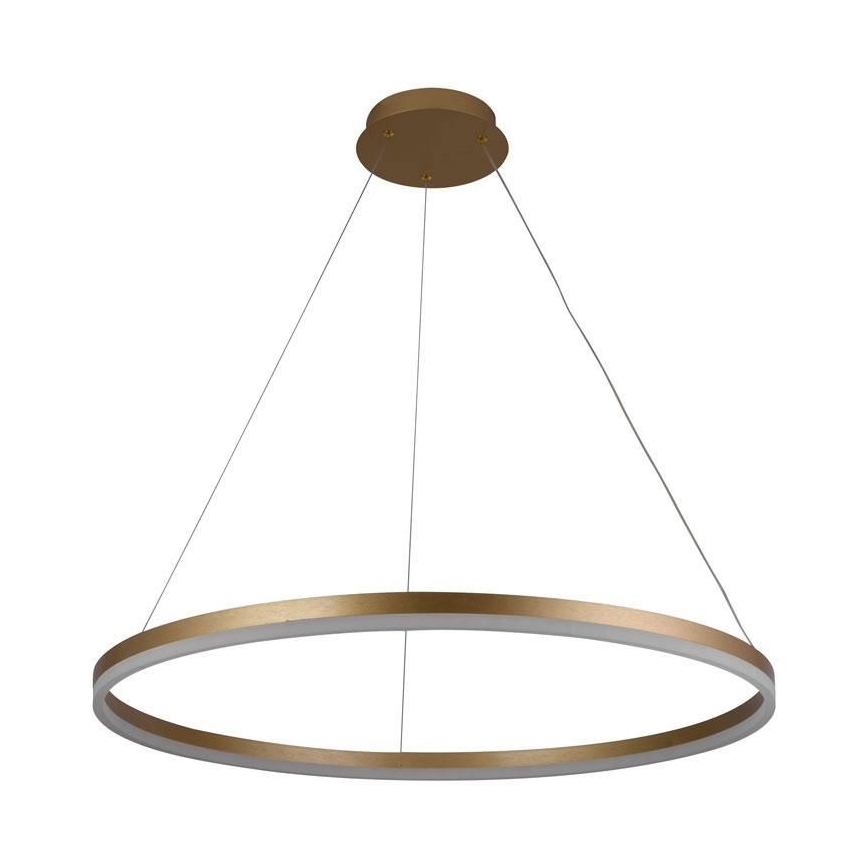LED Dimmable chandelier on a string LED/55W/230V 3000-6500K + remote control