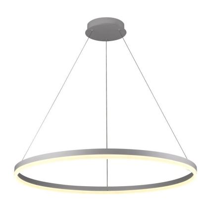 LED Dimmable chandelier on a string LED/55W/230V 3000-6500K + remote control