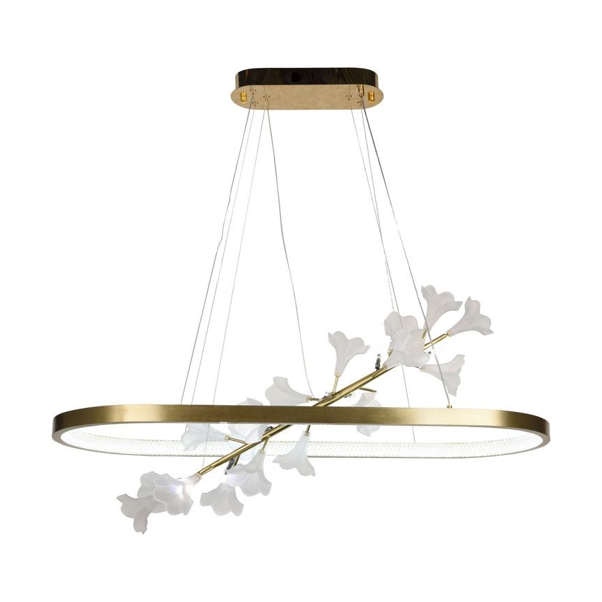 LED Dimmable chandelier on a string LED/55W/230V 3000-6500K + remote control