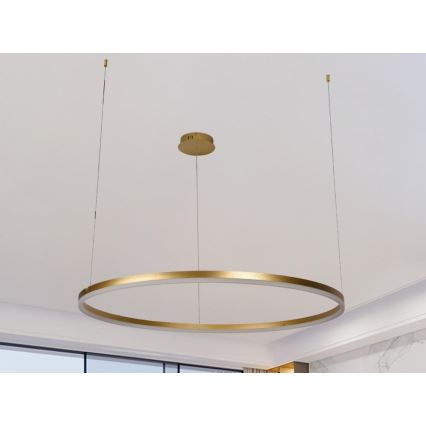 LED Dimmable chandelier on a string LED/55W/230V 3000-6500K + remote control