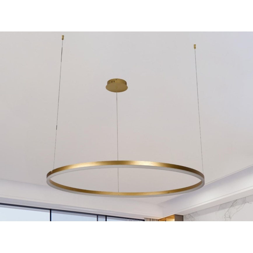 LED Dimmable chandelier on a string LED/55W/230V 3000-6500K + remote control