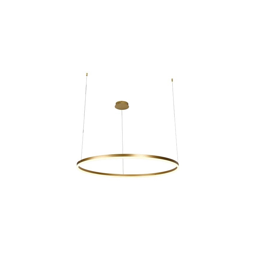 LED Dimmable chandelier on a string LED/55W/230V 3000-6500K + remote control