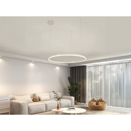LED Dimmable chandelier on a string LED/55W/230V 3000-6500K + remote control
