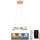 LED Dimmable chandelier on a string LED/65W/230V 3000-6500K d. 48 cm gold + remote control