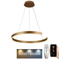 LED Dimmable chandelier on a string LED/70W/230V 3000-6500K + remote control